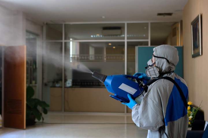 Extermination de termites à Nice / Fréjus