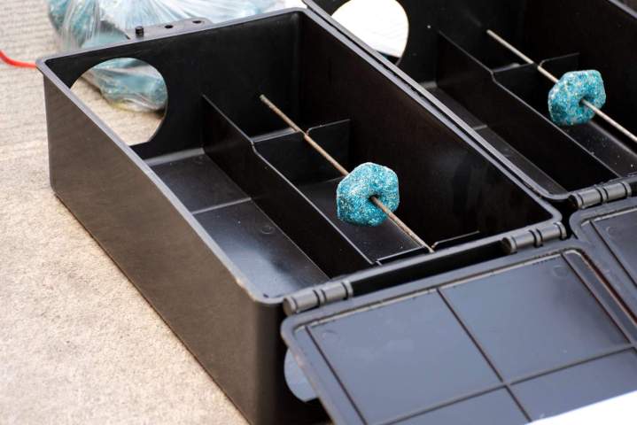 Dératisation Digne-les-Bains